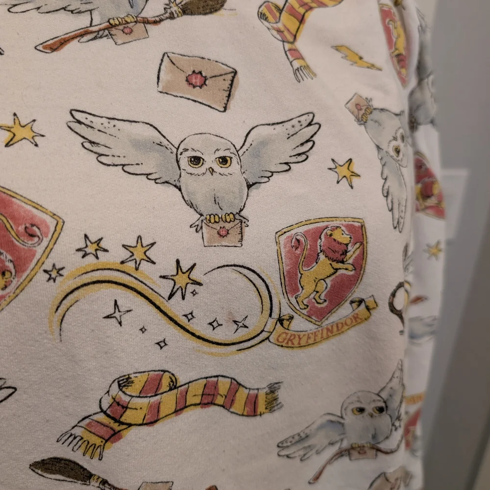 WIZARDING WORLD Harry Potter Hoodie Gryffindor Graphic Oversized Size XXL - Picture 2 of 9